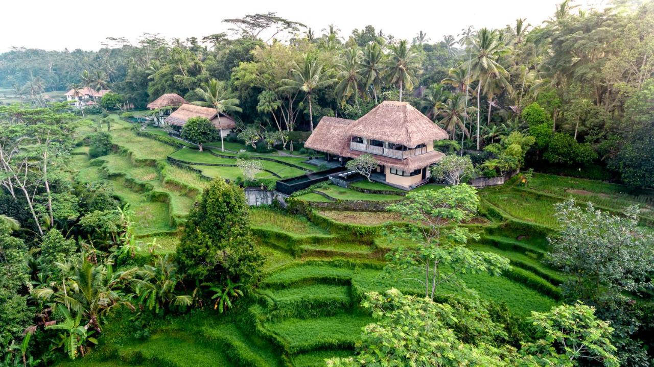 Villa Kelusa Ubud Eksteriør billede