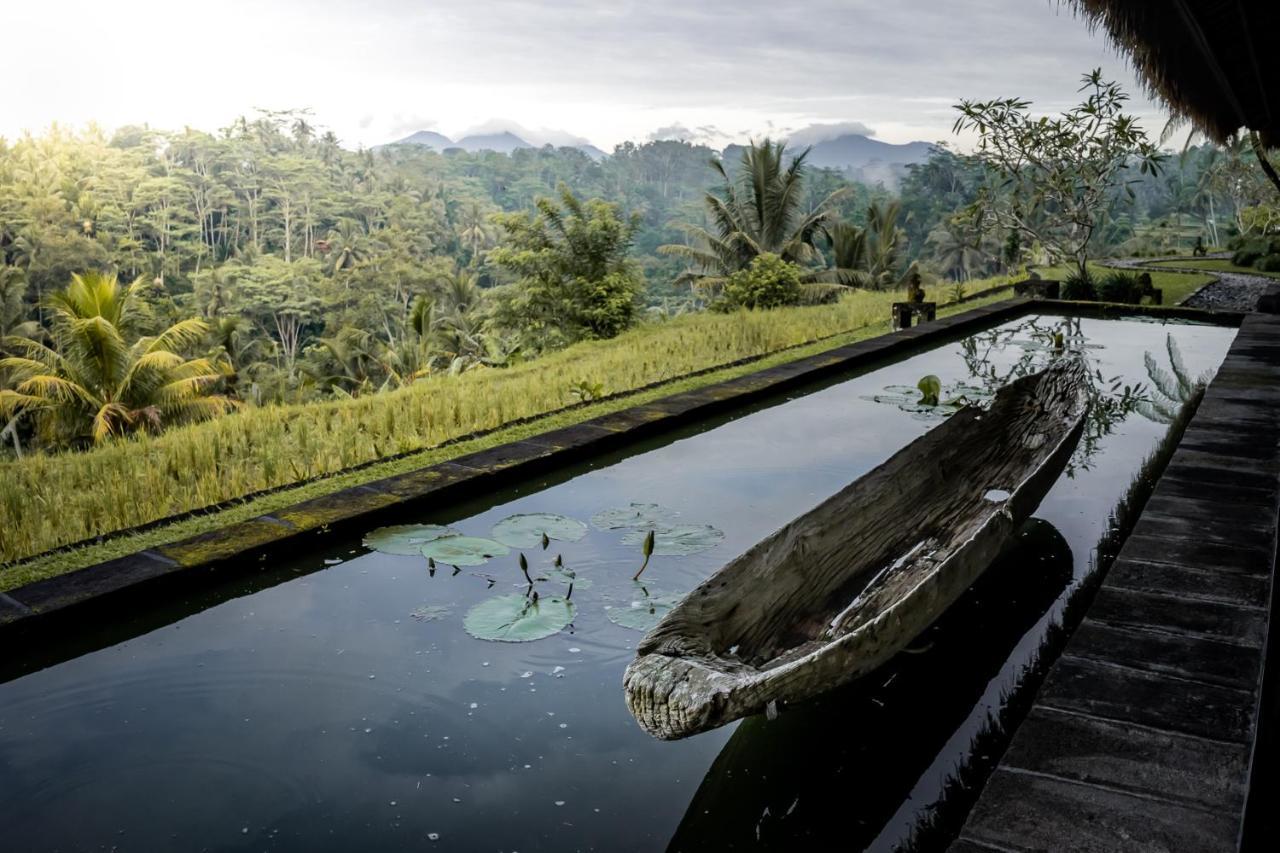Villa Kelusa Ubud Eksteriør billede
