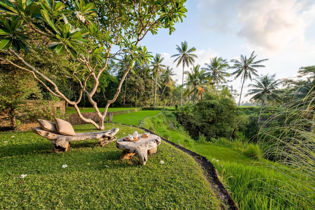 Villa Kelusa Ubud Eksteriør billede